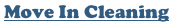 Move In Cleaning